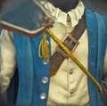 Image of Patriotic Sash in codex search.