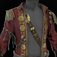 Poet's Coat icon