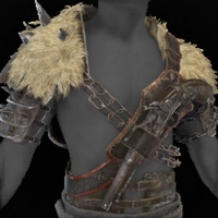 Privateer's Pelt icon