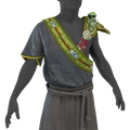 Image of Raiment of Harmony in codex search.