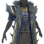 Shimmer-Scale Coat