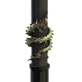 Image of The Naga's Daughter in codex search.