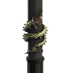 The Naga's Daughter icon