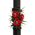 Image of Winding Embrace in codex search.