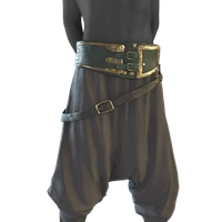 Hefter's Belt icon
