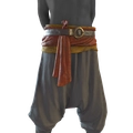 Image of The Lion's Sash in codex search.