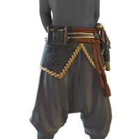 Turner's Belt icon