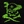 fleetOfPestilence Icon