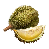 Durio icon