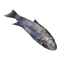 Fish icon