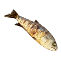 Image of Grilled Fish in codex search.
