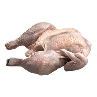 Raw Chicken icon