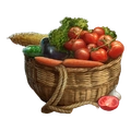 Image of Raw Vegetables in codex search.