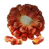 Screwpine icon
