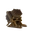 Celestial Bloom Icon