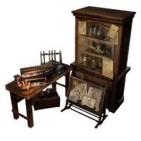 Anatomy Cabinet icon