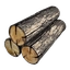 Acacia