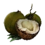 Coconut