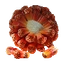 Screwpine
