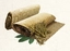 Fine Sisal