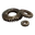 Cogwheel Icon