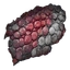 Zamaharibu Scales