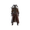 Image of flamingFuryGarb in codex set overview.