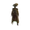 Image of goldDrunk in codex set overview.