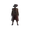 Image of inquisitiveDawn in codex set overview.