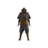 Icon of the Kingdom's Warrior Set.