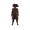 Image of nocturnesChampion in codex set overview.