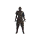 roninRaiders set