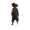 Image of rumAndGold in codex set overview.