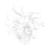Agaric Kingdom Ship Set Icon