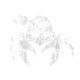 crabbyBonnet set