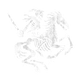deathStrides set