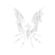 divineDragon set