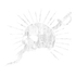 Icon of the Do or Die Set.
