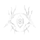 drownedWitch set