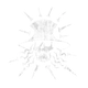 hexFiend set