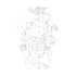 Hubris and Folly Set Icon