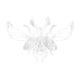 insectManiaShip set