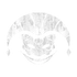 Jester's Ship Set Icon