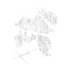 Nocturne's Grace Set Icon