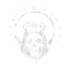 Icon of the Phantom Halo Set.