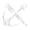 Image of pioneer in codex set overview.