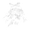 Image of rogueStringer in codex set overview.