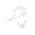 Rogue's Bounty Set Icon