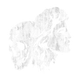 satisfaction set