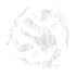 The Schaduw Set Icon